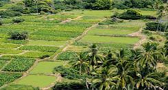 navana property image